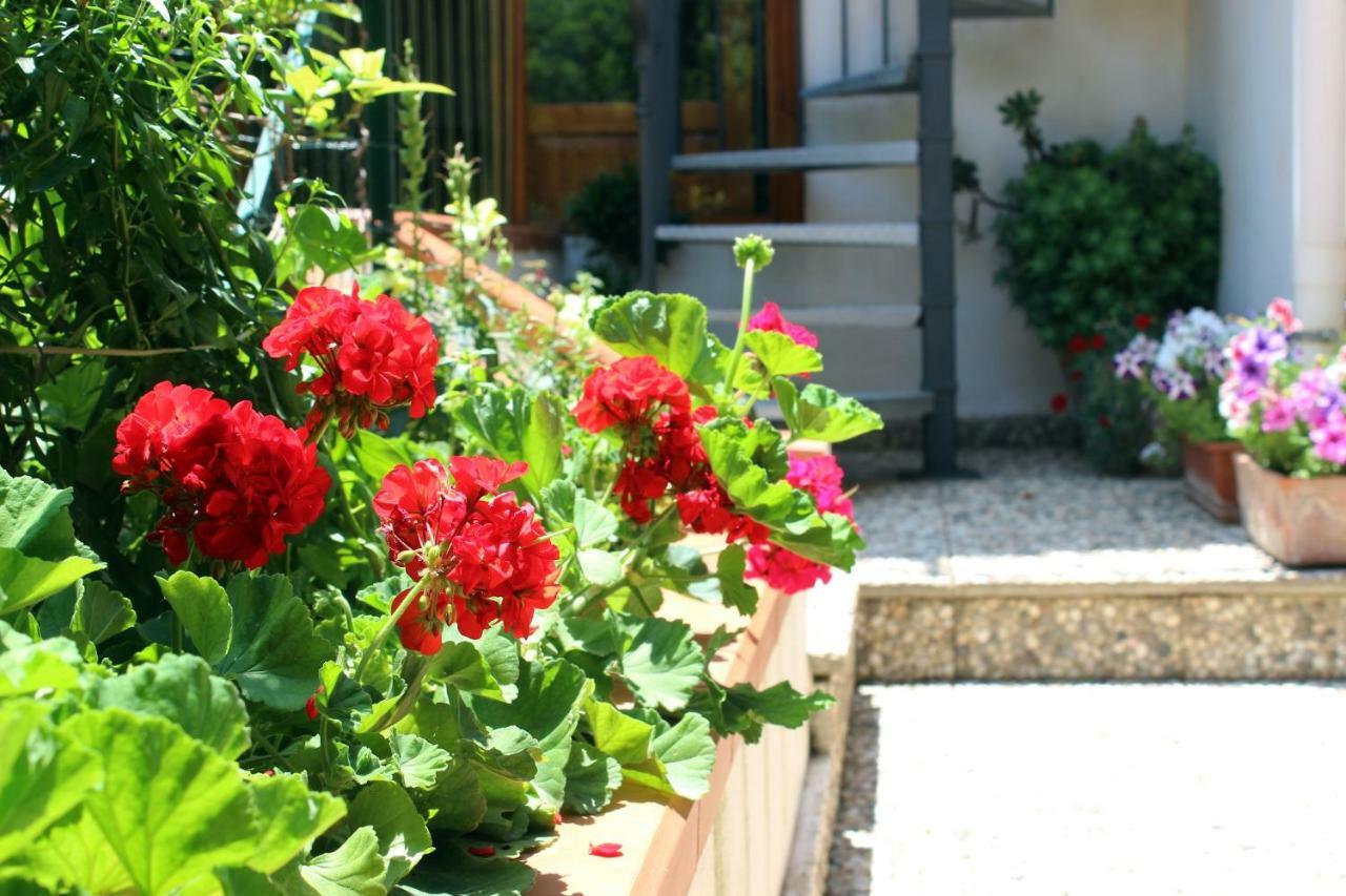 ماكاري Raggio Di Sole Bed & Breakfast المظهر الخارجي الصورة